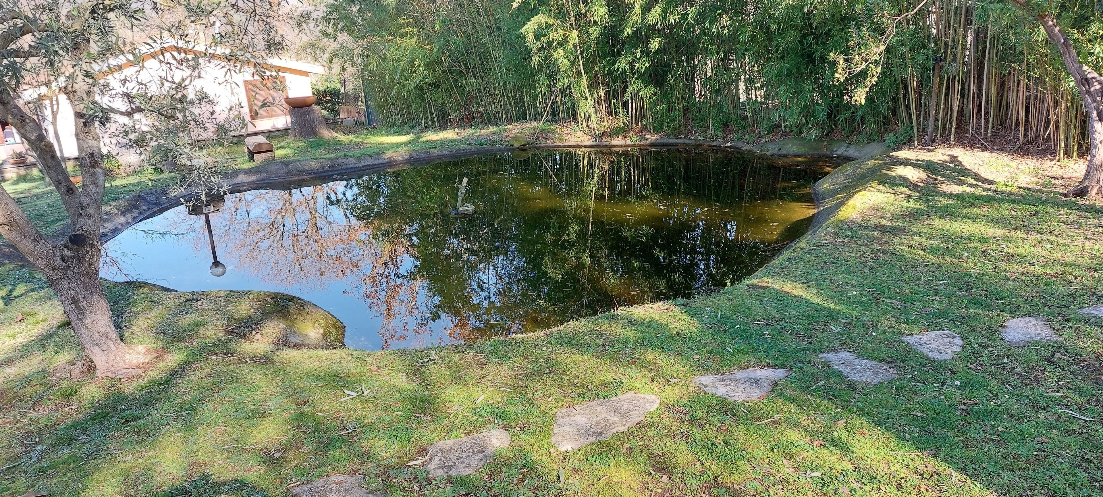 Huis, 4 slaapkamers, privézwembad, uitzicht op tuin | Terrein van de accommodatie