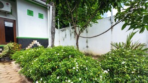 A courtyard with green shrubs and white flowers, a white building with green trim, and a tree. - Griyaponcowolo (Yogyakarta)