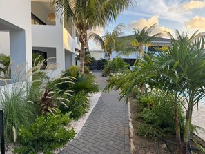 Un edificio moderno con un sendero pavimentado rodeado de exuberante vegetación y palmeras.