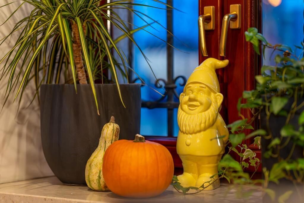 Foto - Great Polonia Dwarf Wrocław