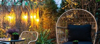 Great Polonia Dwarf Wrocław