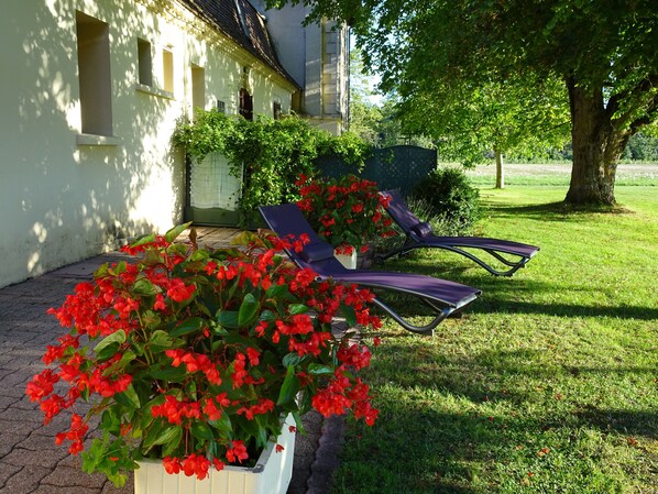 テラス / パティオ