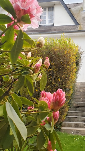 Jardines del alojamiento