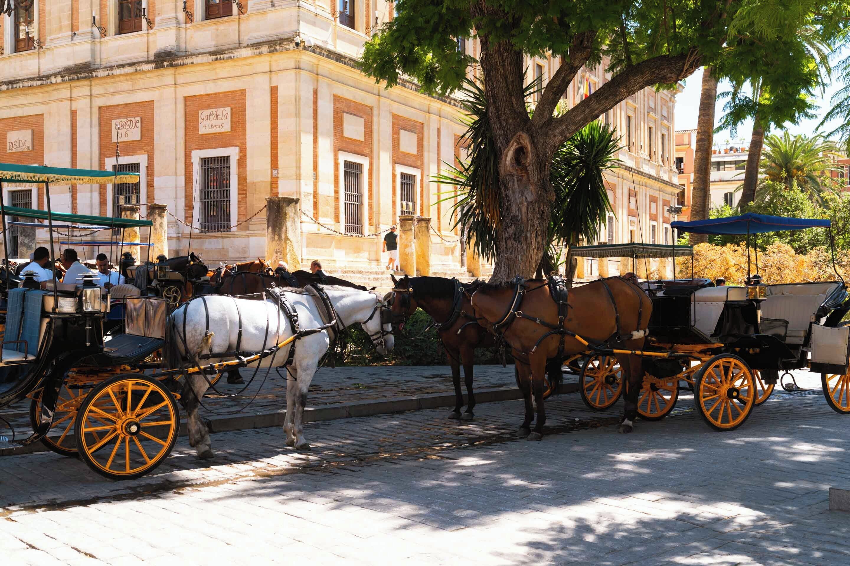 Un carruaje tirado por caballos estacionado en una calle adoquinada con edificios al fondo.