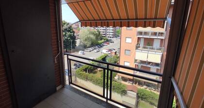 Lucky House - Palace & Stadium