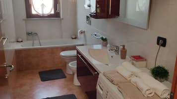 Shower, hair dryer, bidet, towels