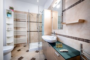 Shower, hair dryer, bidet, towels