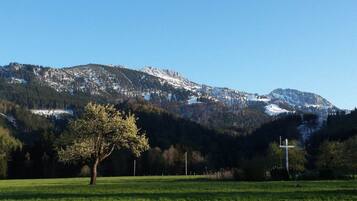 Ferienhaus | Verschiedenes