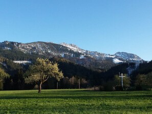 House | Miscellaneous