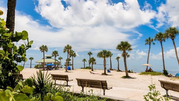 Une plage bordée de palmiers, avec un kiosque et des bancs.