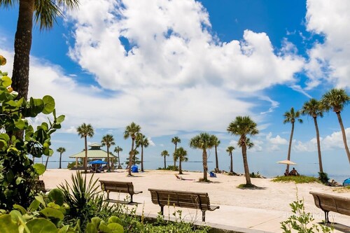 Tropical Pool Retreat in Tarpon Springs