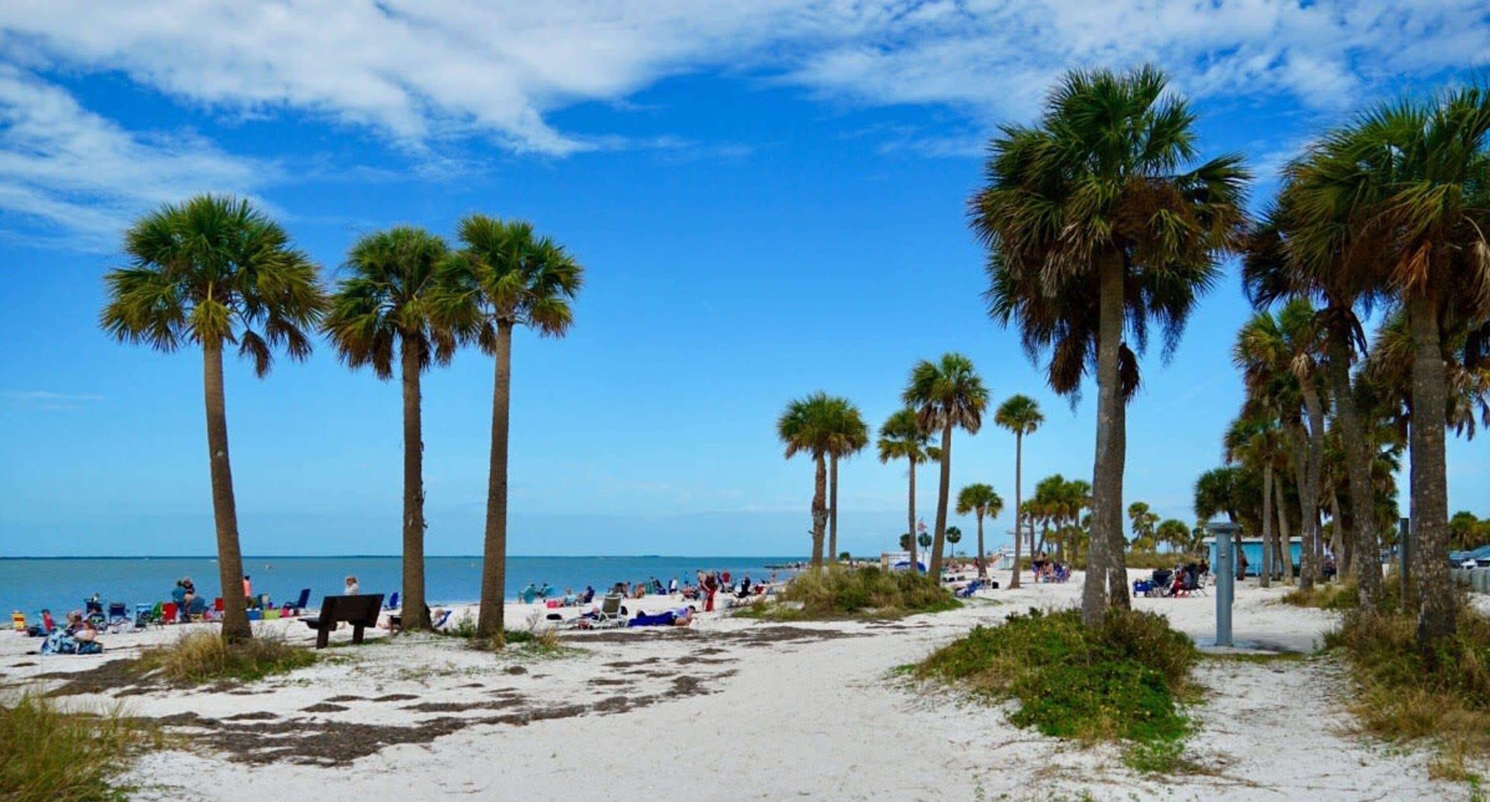 Huis | 3 slaapkamers