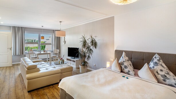 Une chambre d’hôtel comprenant un lit, un canapé, une télévision, une table à manger et une plante en pot.