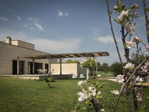 Property grounds - Villa Baix des Pujol: Modern Luxury & Relaxation in Mallorca (Petra)