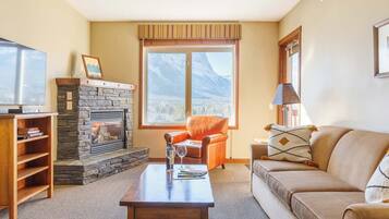 Smart TV, fireplace, books