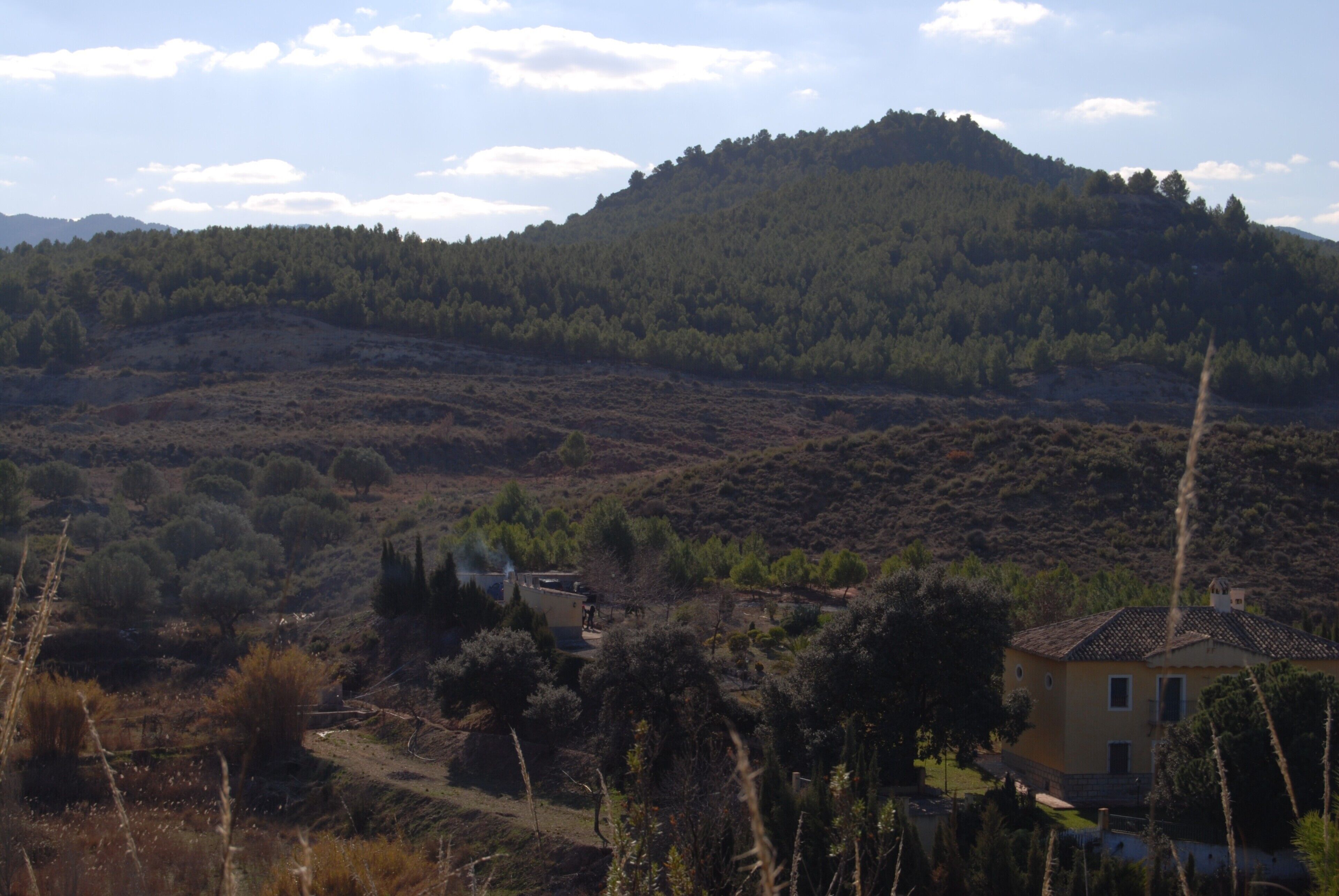 Paisatge rural amb un turó, arbres i un edifici groc amb teulada de rajola.