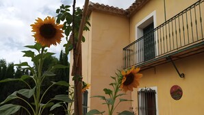 Un edificio amarillo con balcón, girasoles grandes y plantas en macetas.