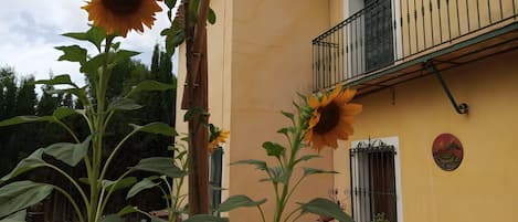 Detalle del exterior