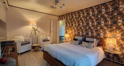 Charmante chambre dans la maison d'une artiste.