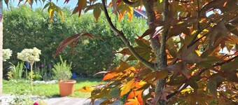 Charming bed & breakfast in enchanting Malmedy with WiFi and free parking.