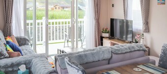 The Laughing Seagull