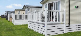 The Laughing Seagull