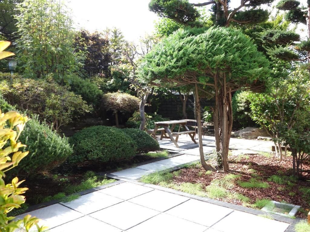 A garden with a stone pathway, a wooden bench, and various types of trees and shrubs.