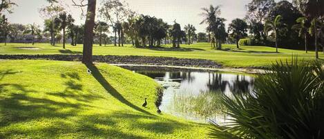 Jardines del alojamiento