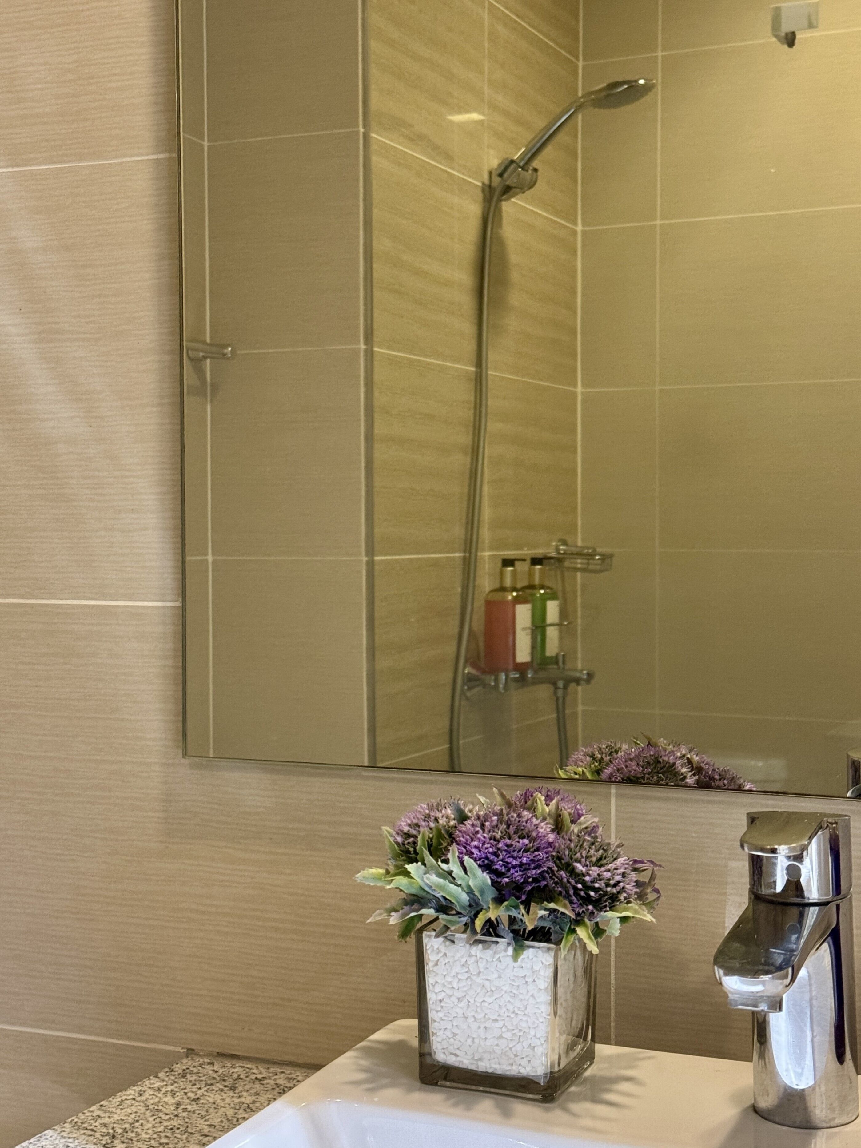 A bathroom with a shower, a sink with a faucet, and a vase with flowers on the counter.