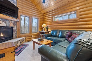 Smart TV, fireplace, books, offices