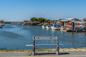 A marina with boats docked, a bench, and buildings in the background.