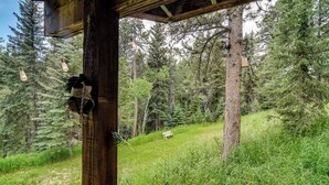 Interior - 3 Mi to Lake: Evergreen Studio w/ Trail Access (Evergreen)