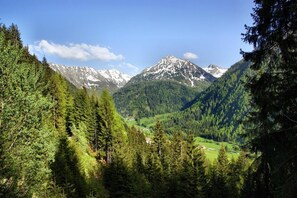 Un paisaje montañoso con bosques densos y un valle.