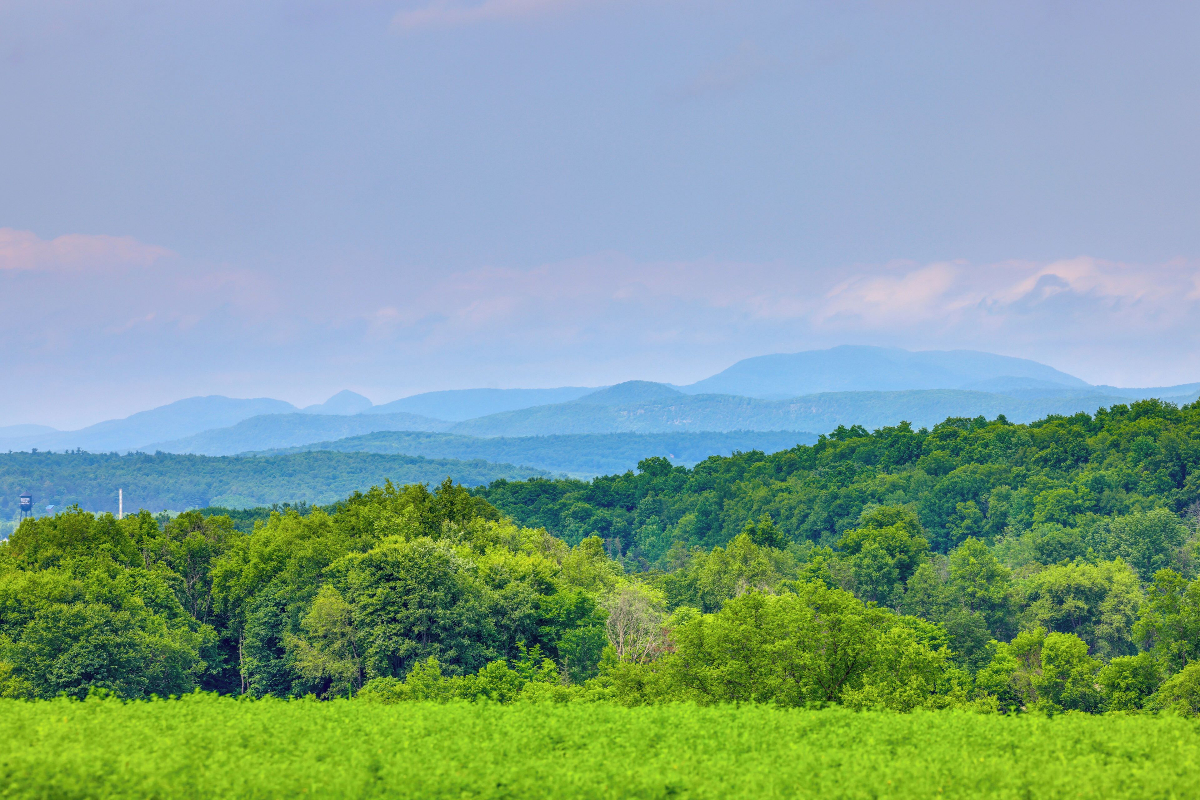 A lush green landscape with rolling hills and distant mountains under a clear sky.