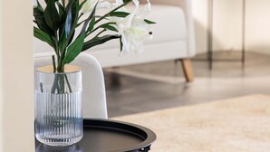 Villa | 1 soverom og internett
