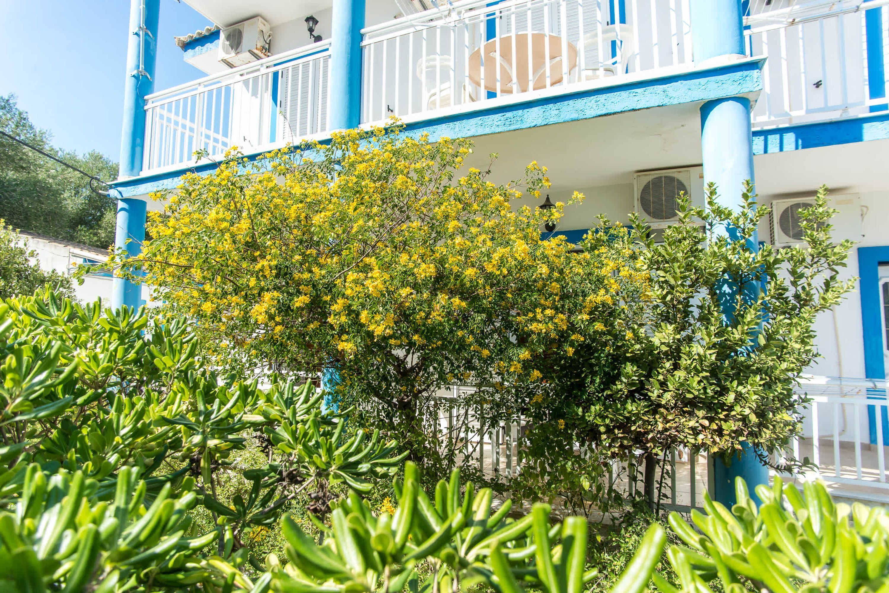 Studio | Exterior