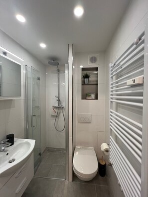 A modern bathroom with a glass-enclosed shower, a white sink, and a toilet.