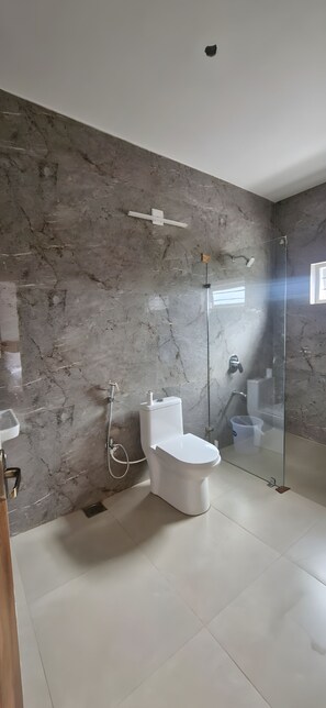 Hair dryer, towels, toilet paper