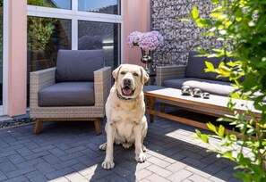 Terrasse/gårdhave