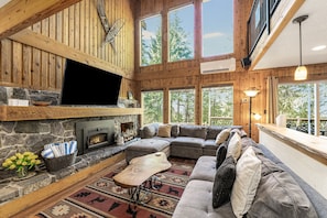 TV, fireplace, books, stereo