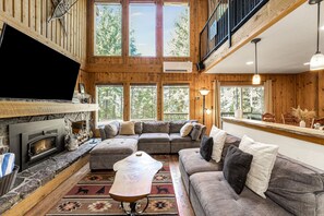 TV, fireplace, books, stereo