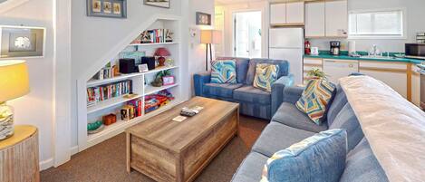 Televisio, takka, DVD-soitin, videokirjasto