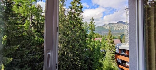 Strbske Pleso 2-bdr Pent apartment with balcony free WiFi and parking