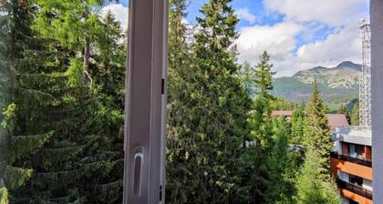 Strbske Pleso 2-bdr Pent apartment with balcony free WiFi and parking
