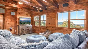 Smart TV, fireplace, video games, music library