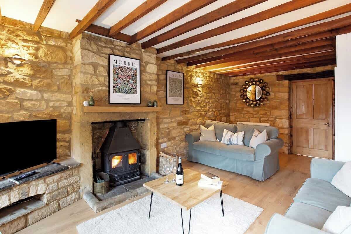 TV, fireplace, books