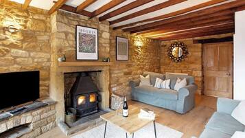 TV, fireplace, books