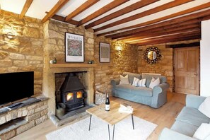 TV, fireplace, books