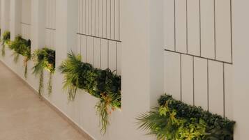 منطقة المعيشة