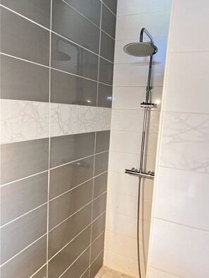 Shower, towels, toilet paper